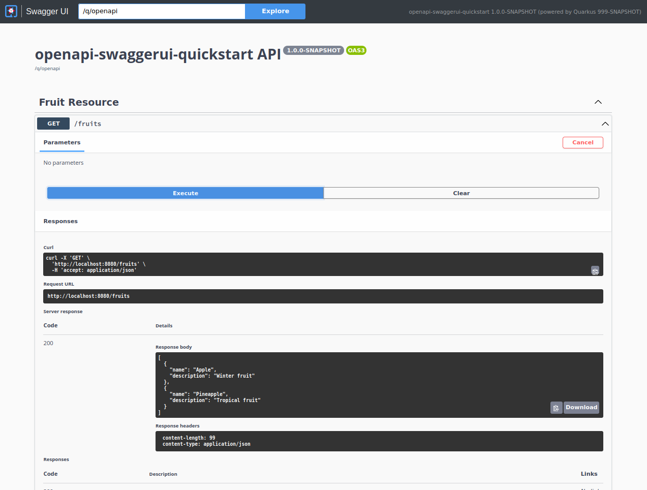 openapi swaggerui guide screenshot02