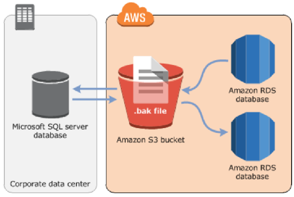 mssql export import