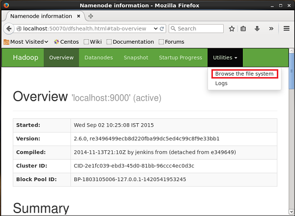 verifying the hdfs