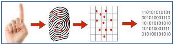 fingerprint recognition system