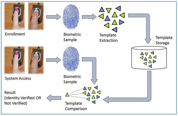 identification and verification