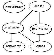 dm acyclic graph