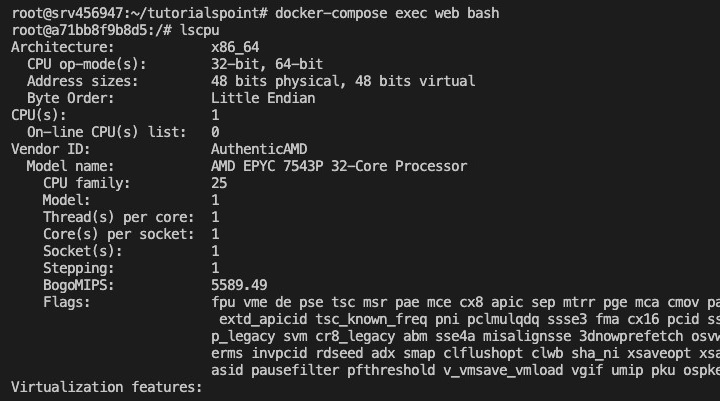 docker compose exec command