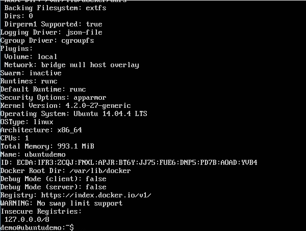docker info example output