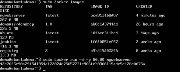 docker run command