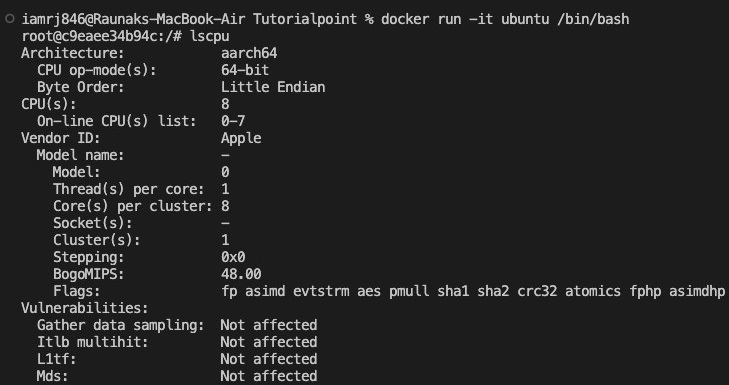 docker run it