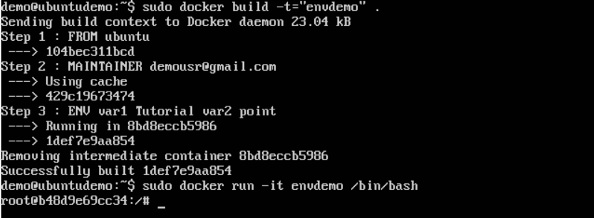 env run a container