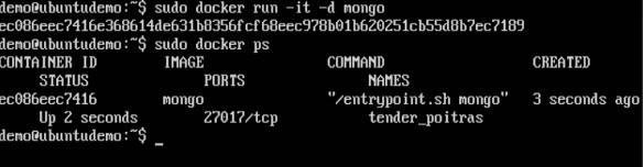 mongodb container