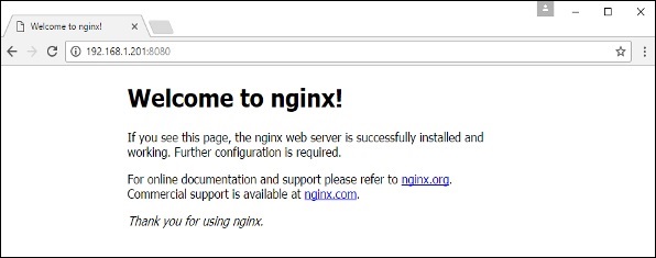 nginx container