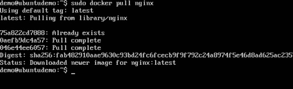 nginx image