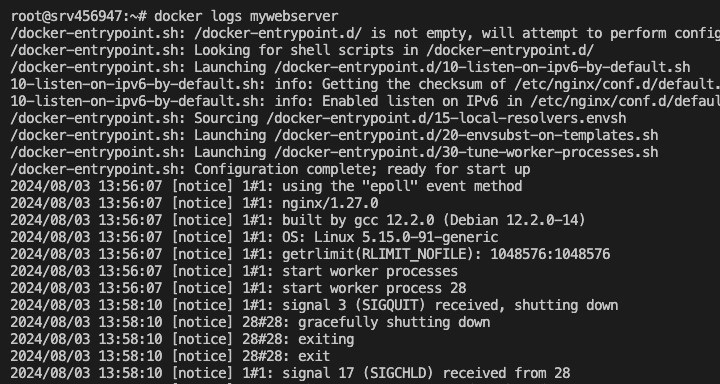 viewing container logs