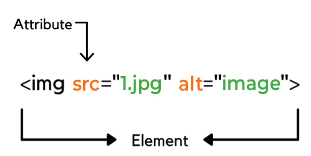 attribute example