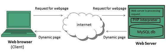 internet dynamic web page