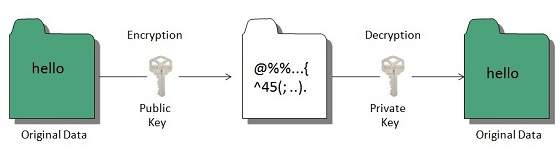 internet public key cryptography