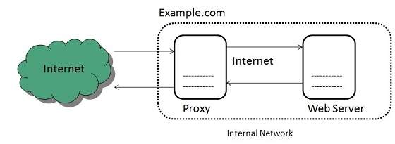 internet reverse proxy