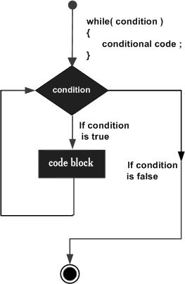 java while loop