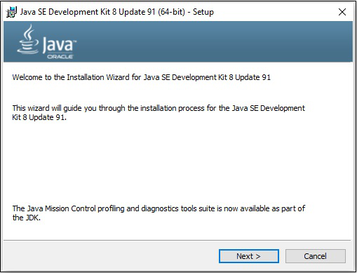 java se development kit 8 next