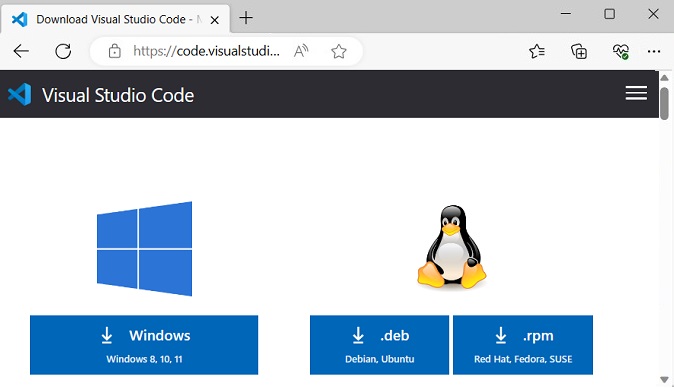 vscode download page