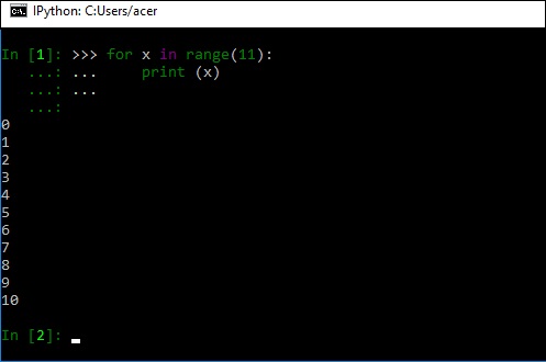 ipython input cell