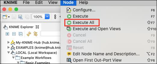 execution workflow