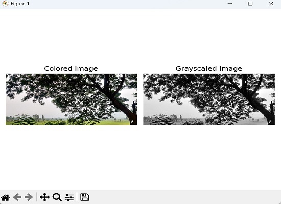 color grayscale image