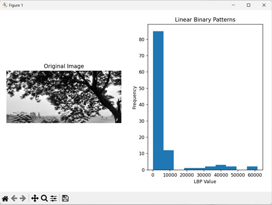 linear binary patterns