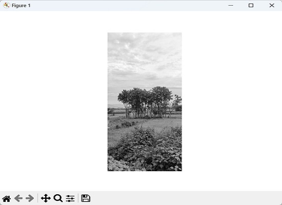 loading grayscale images