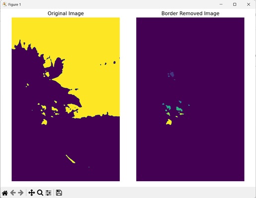 removing bordered labeled1