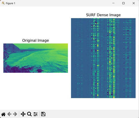 surf dense