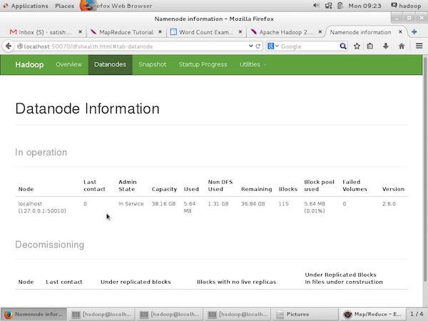 datanode info