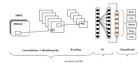 cnns architecture