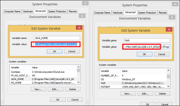 environment variable