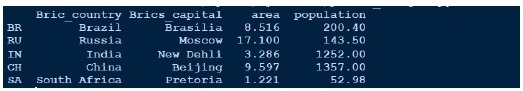 dataframe brics index