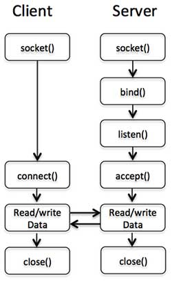 perl socket