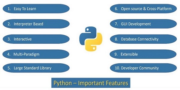 python important features