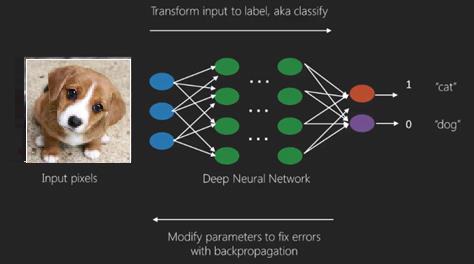 backpropagation algorithm