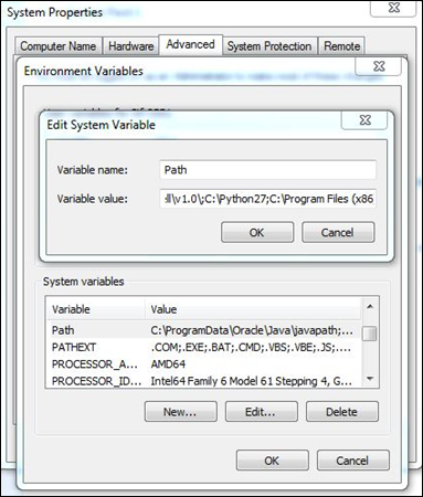 set environment variables