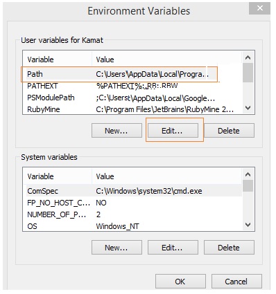 environment variable