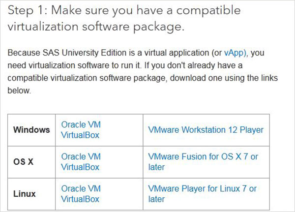 environment2 vm options