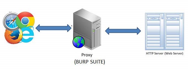 working model burp