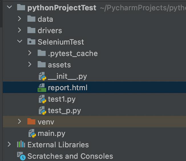 python project test