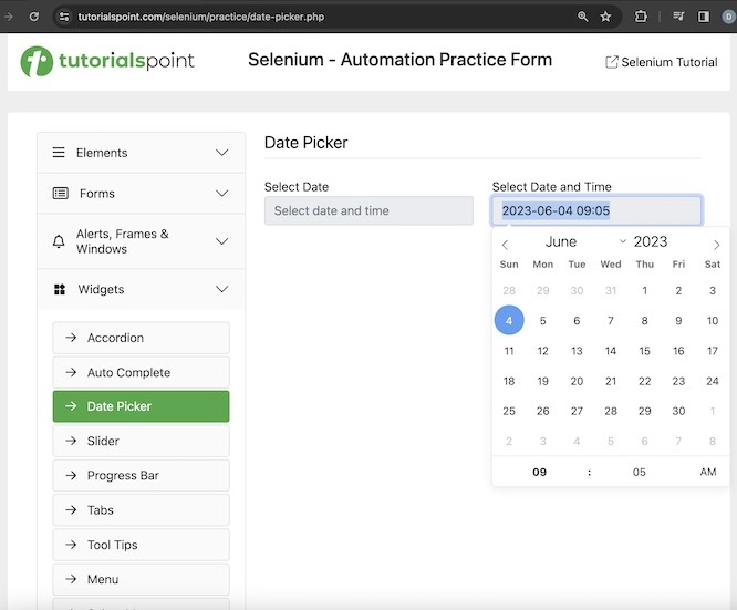 selenium date time picker 2