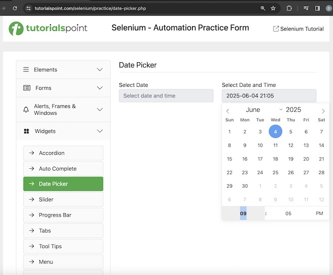 selenium date time picker 3