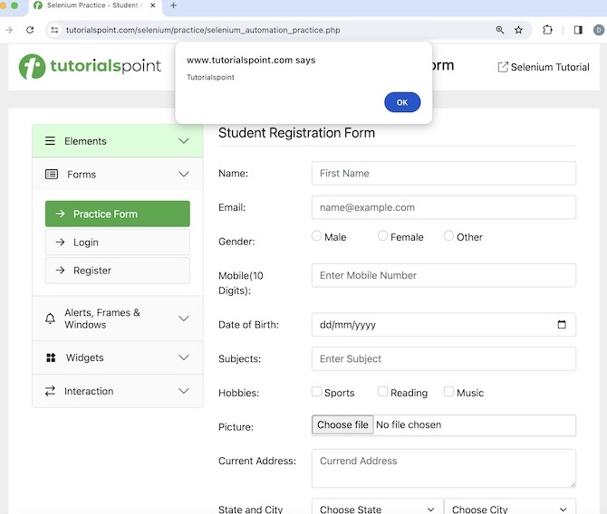 selenium javascript functions 1