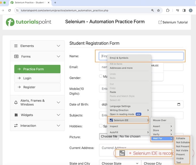 selenium verification points 3