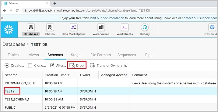 delete schema