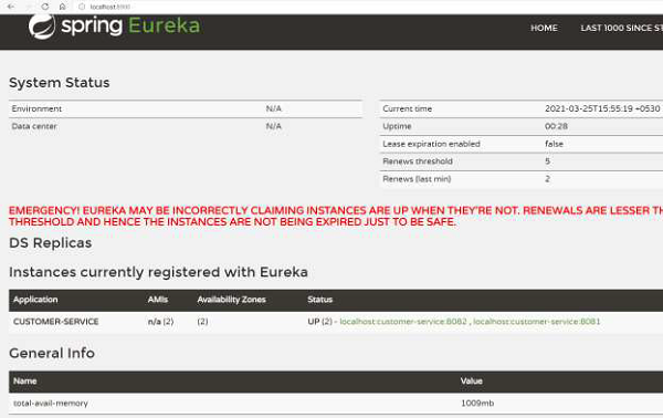 setting up eureka client for instance