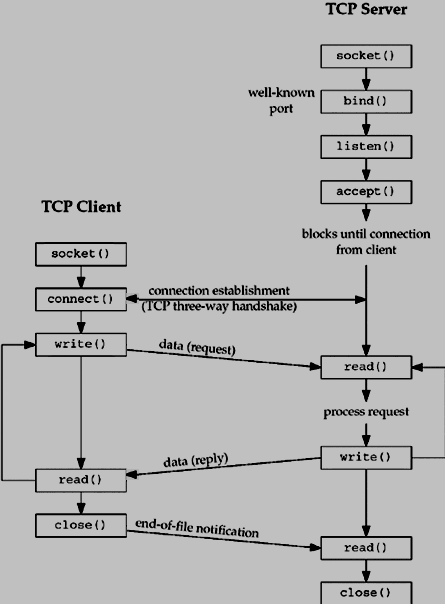 socket client server