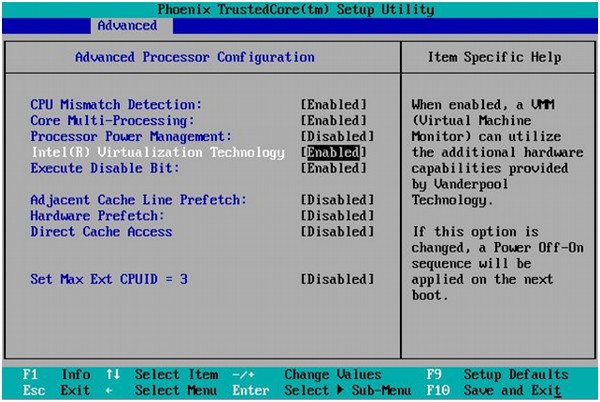 virtualization setting